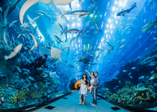 Dubai Aquarium & Underwater Zoo