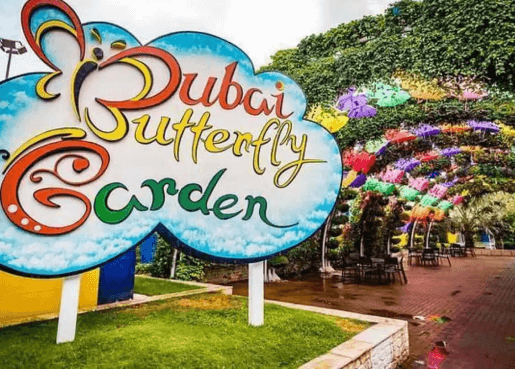 Dubai Butterfly Garden