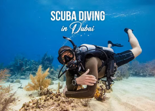 Scuba Diving 
