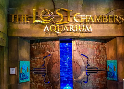 The Lost Chambers Aquarium