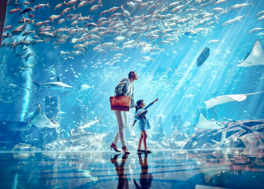 The Lost Chambers Aquarium